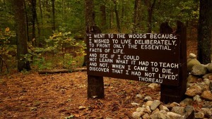 800px-thoreaus_quote_near_his_cabin_site__walden_pond.0
