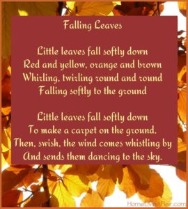586618c13c06bccb3a6b62f41c9973b1--autumn-poem-falling-leaves